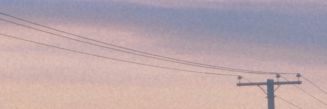 ❄️ banner