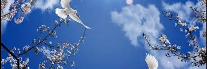 meftune_20's profile banner image