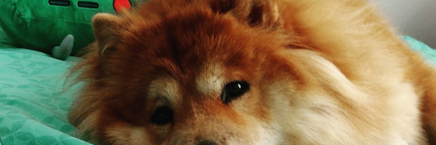 cloud123458's profile banner image