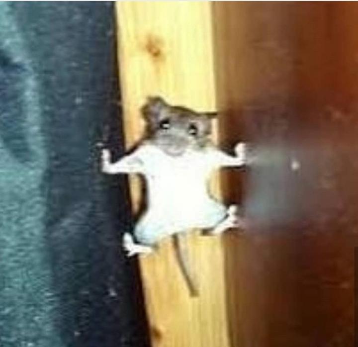 marmtim's profile banner image