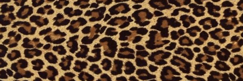 _cris2504's profile banner image