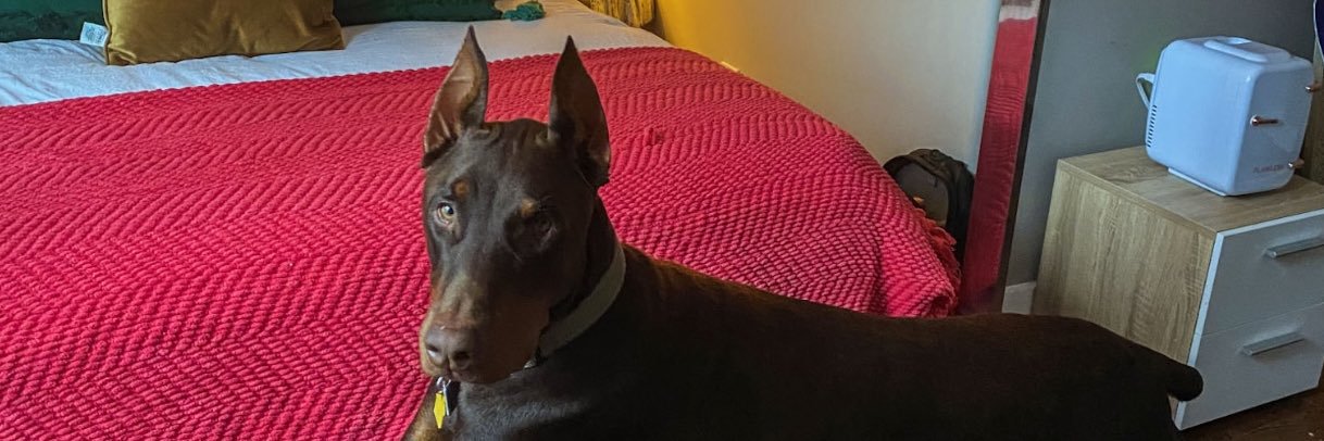 tucker_cate's profile banner image
