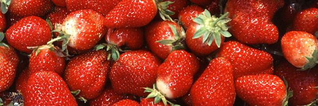 strawbitchymilk's profile banner image