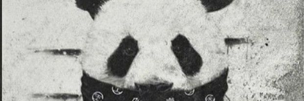 KEliejder's profile banner image