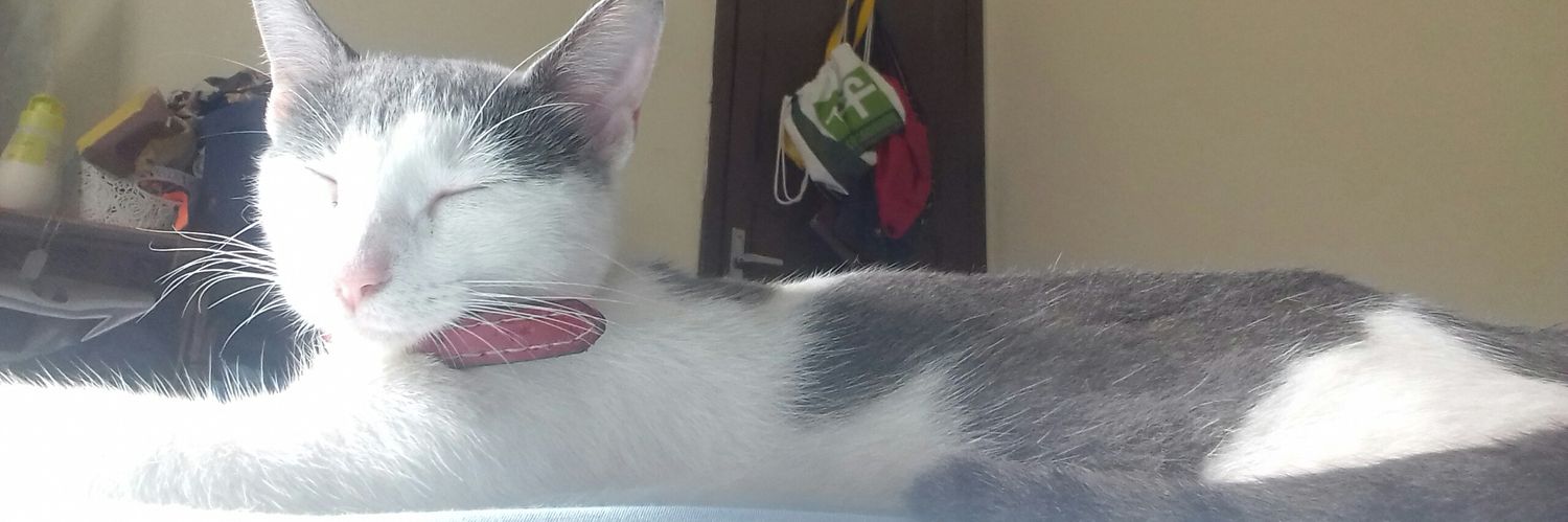 bpaz__'s profile banner image