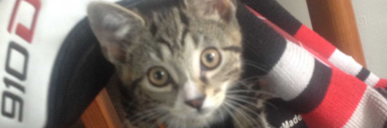 darksnyde's profile banner image