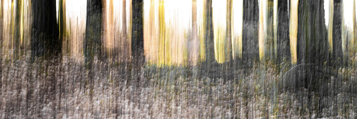 GabrielParfitt's profile banner image