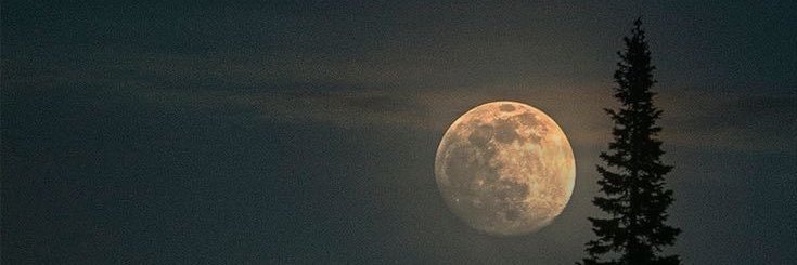 Guardian de la Noche banner