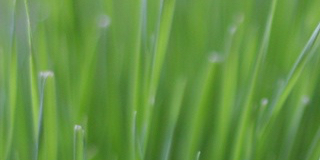 t_dobashi's profile banner image