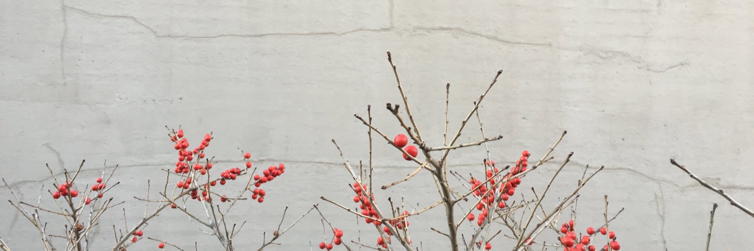 _mariaalba's profile banner image