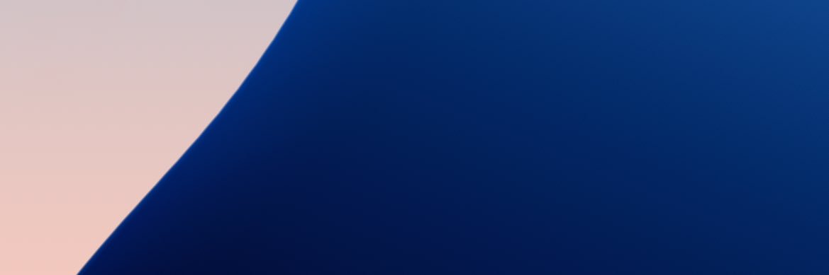 TS banner