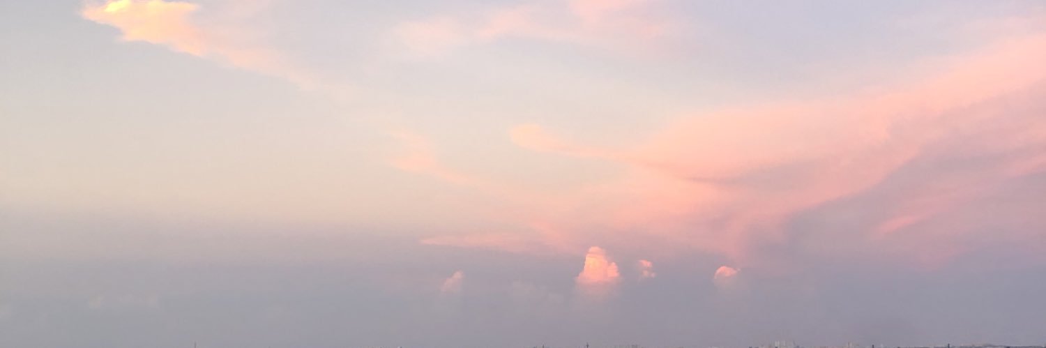 MirshaEstefania's profile banner image