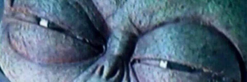 TheDankStore's profile banner image