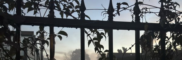 pip_mouse Profile Banner