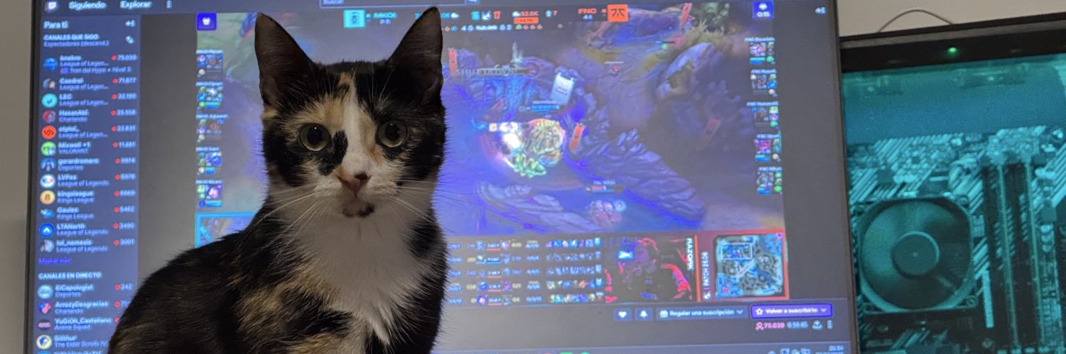 gabrielheldens's profile banner image