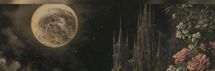 luseess's profile banner image
