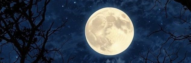 silviobruno8006's profile banner image