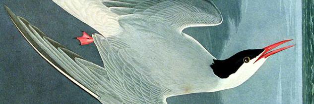 HRodabaugh's profile banner image