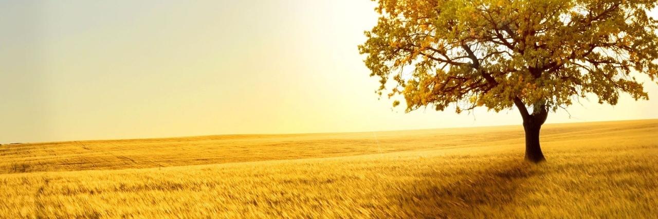 EarthPorn_App's profile banner image