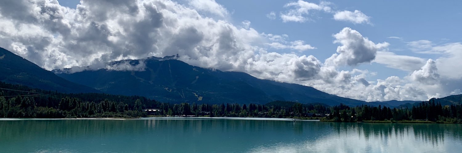 Elmira Hassanzadeh banner