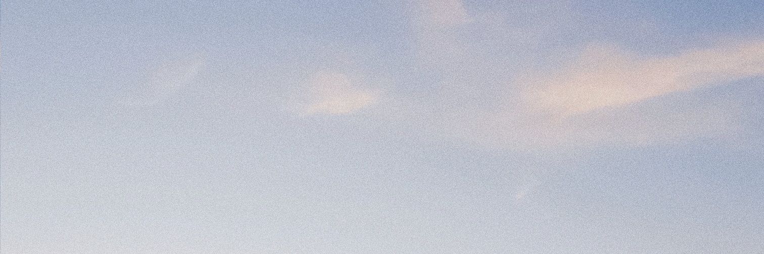 dee🐣🌻 banner