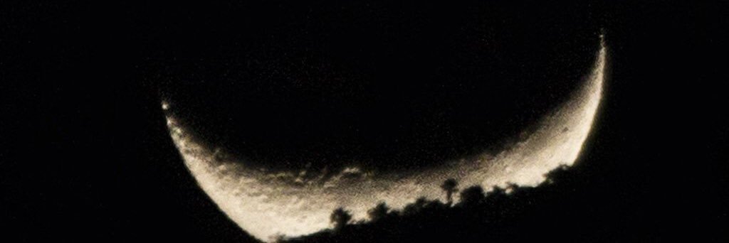 ClausUdg's profile banner image