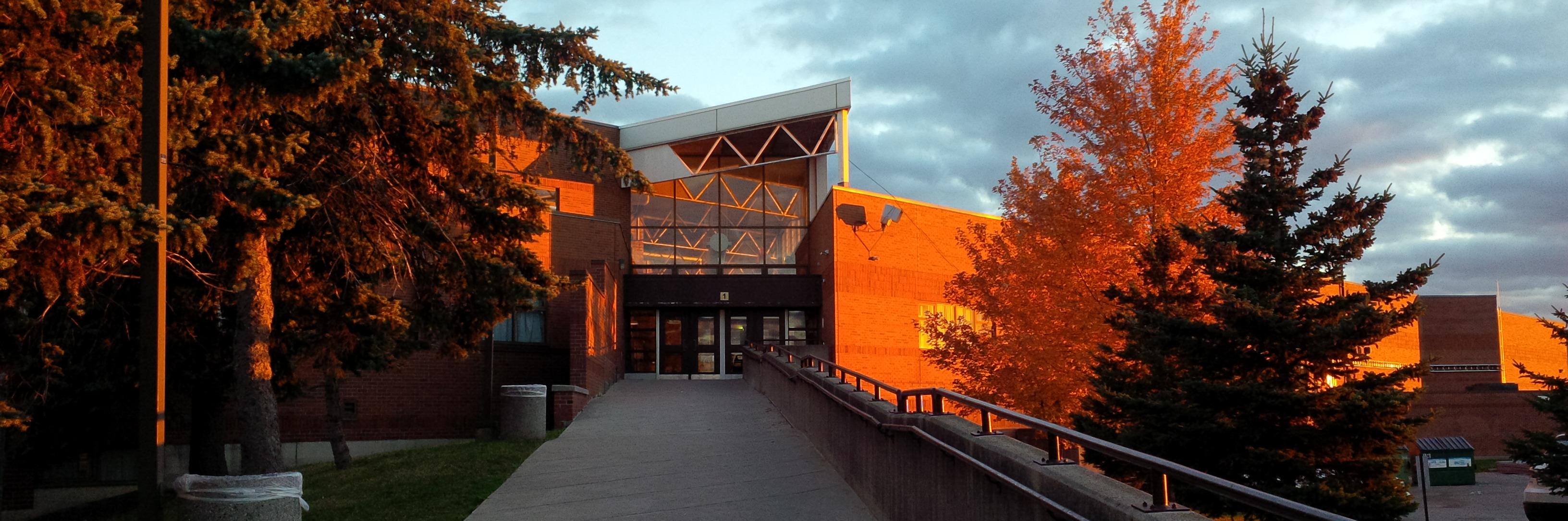Lester B. Pearson CI banner