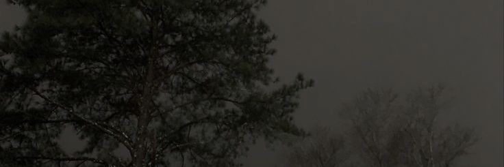 FORLORNS0UL's profile banner image