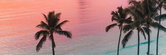 sorrindosaudade's profile banner image