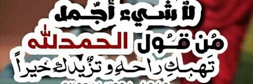 m0509428261's profile banner image