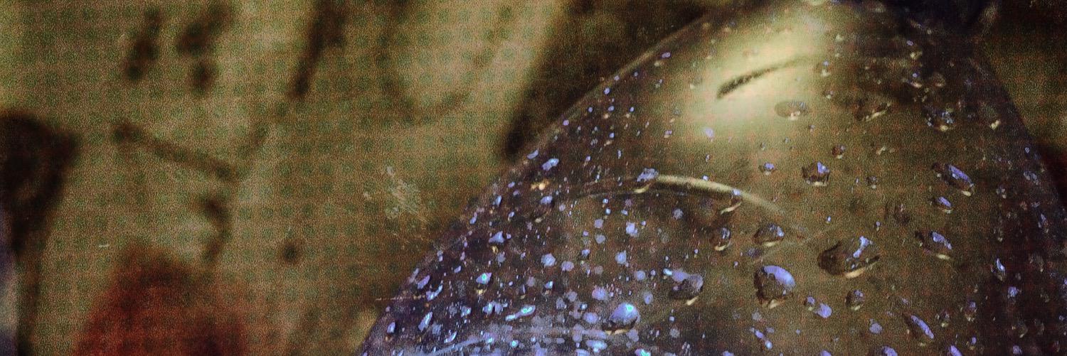 zamyaXXX's profile banner image