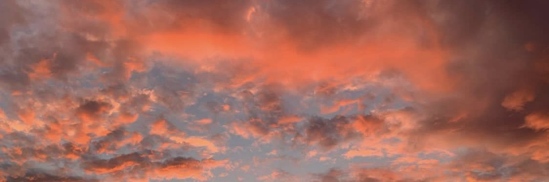 mooonshine97's profile banner image