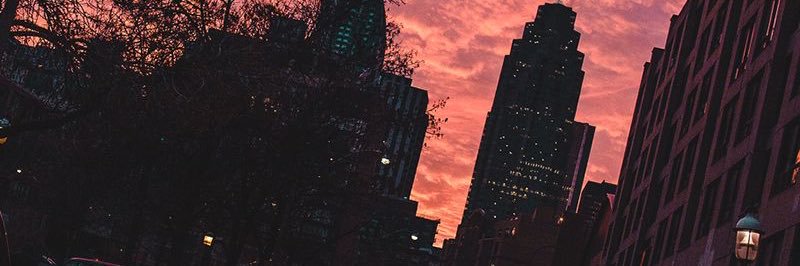 daishaamw's profile banner image