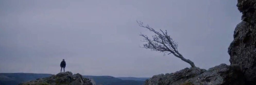 FreeWind's profile banner image