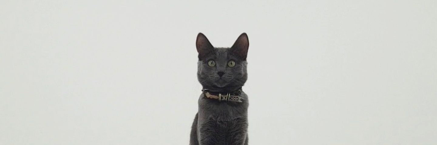 ferbarr_w's profile banner image