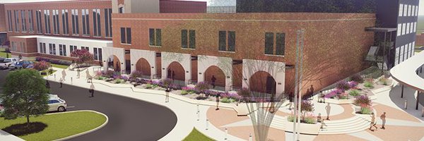 AustinMustangs Profile Banner