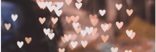 shellerz17's profile banner image