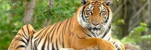 DeshKaBetaa's profile banner image