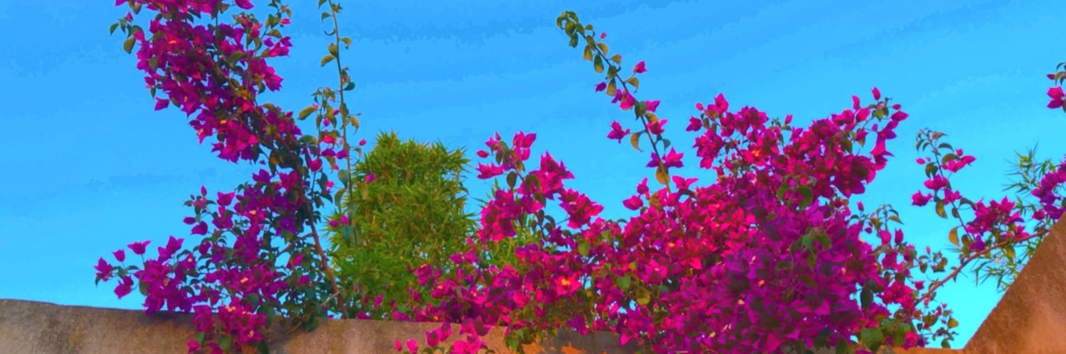 lupeRobertazzi's profile banner image