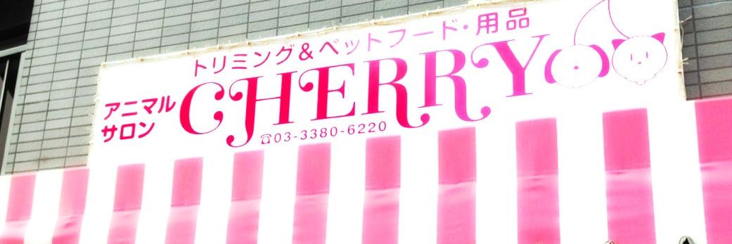 7777cherry7777's profile banner image