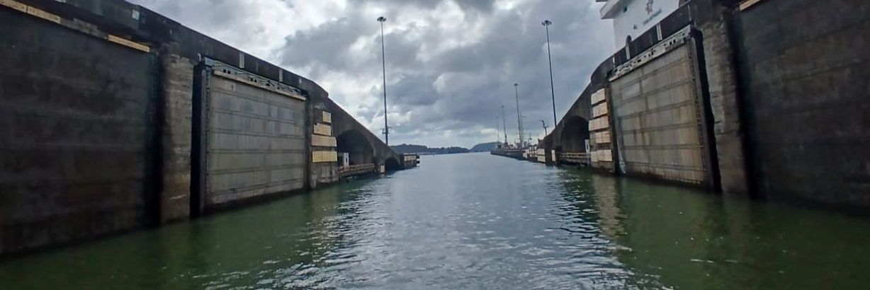 Siria González George banner