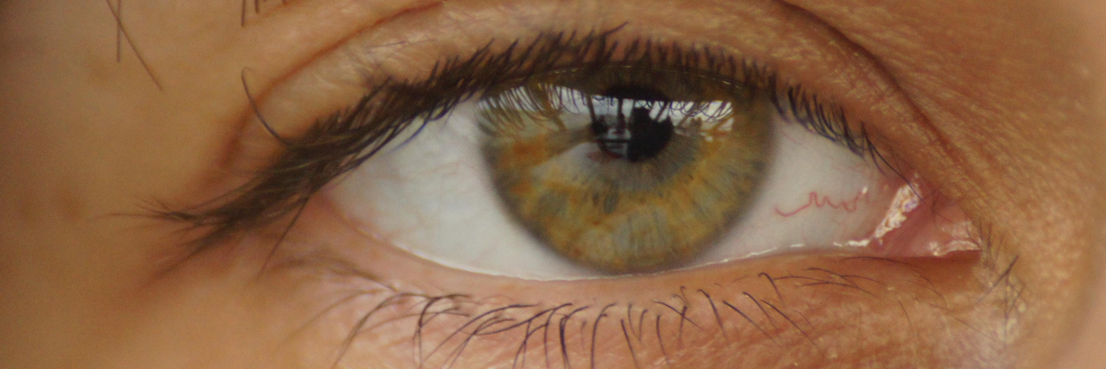 ameise_79's profile banner image