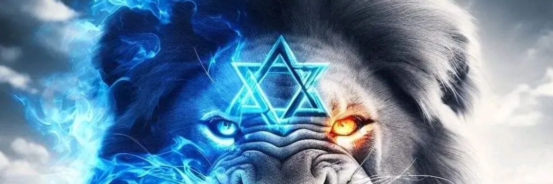 ofircoh's profile banner image