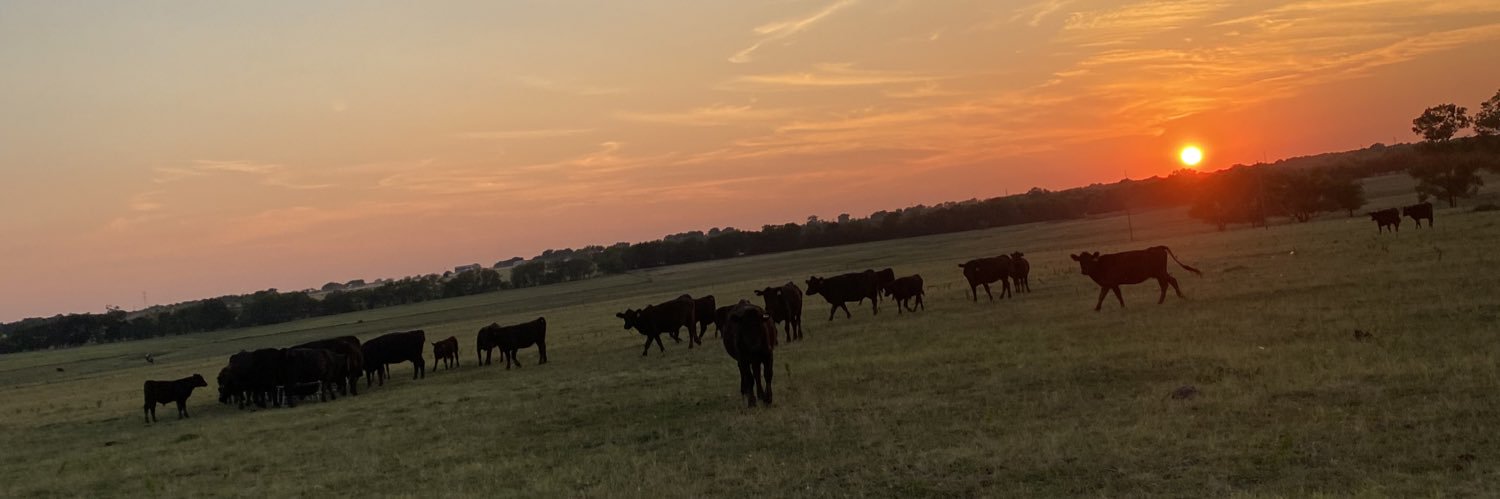 briston_m's profile banner image