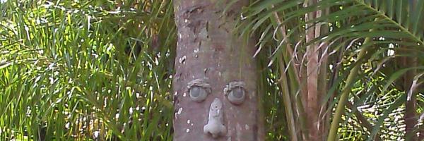 baervig Profile Banner