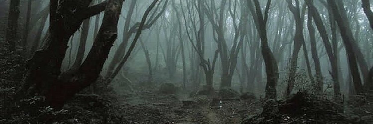 Lgnspkr's profile banner image