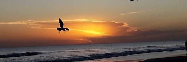 Fernando Grela banner