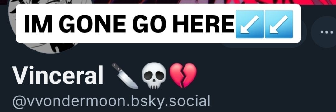 vvondermoon's profile banner image