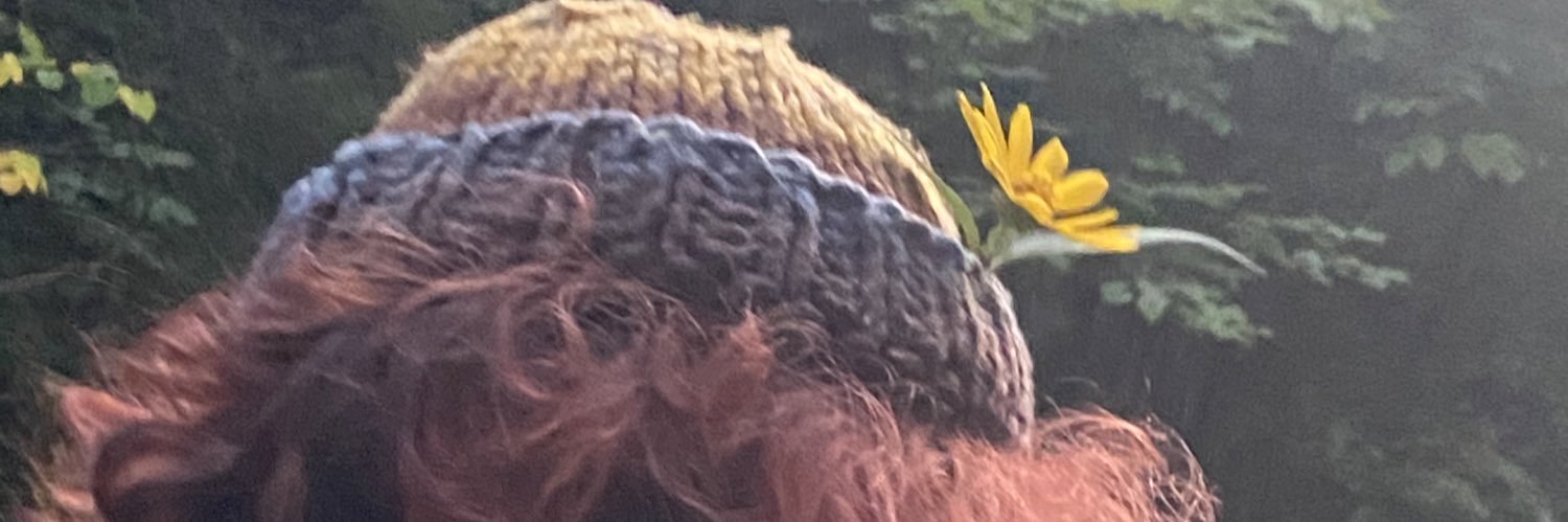 baileylynnmc's profile banner image