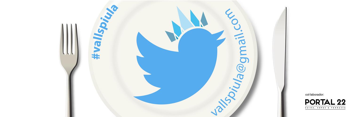 vallspiula's profile banner image